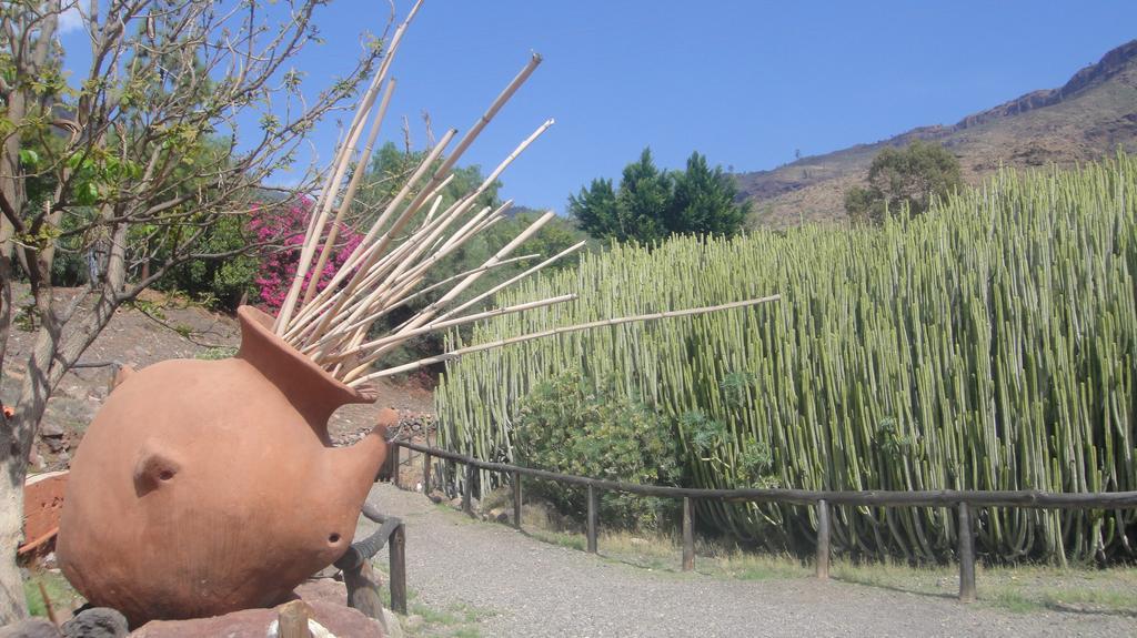 Vakantiehuis Casa El Pino *