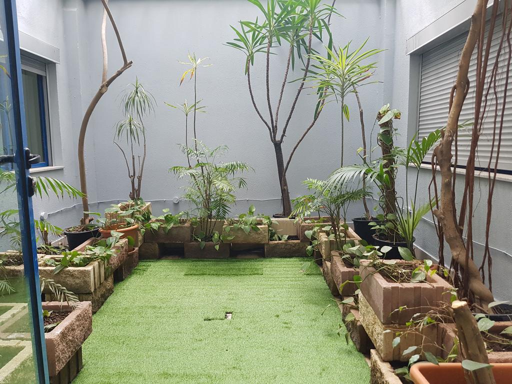 Apartment Garden 15