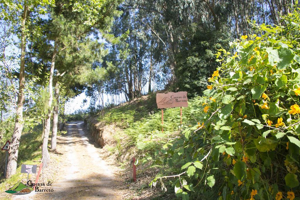 Casa rural Cuevas De Barreto *