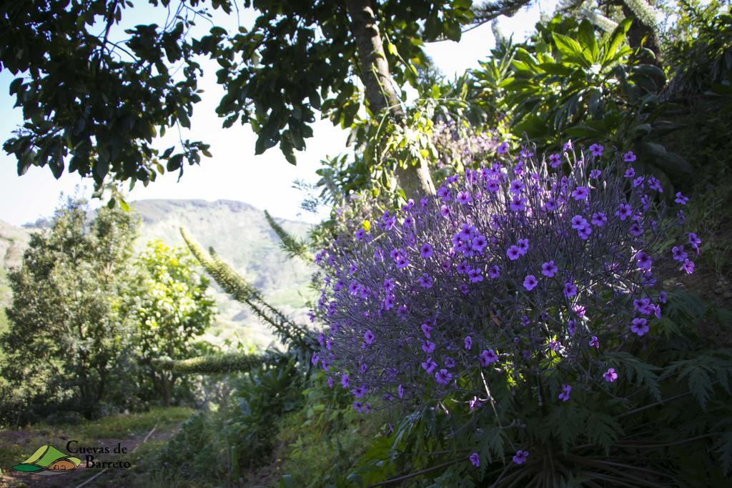 Cuevas De Barreto Casa rural