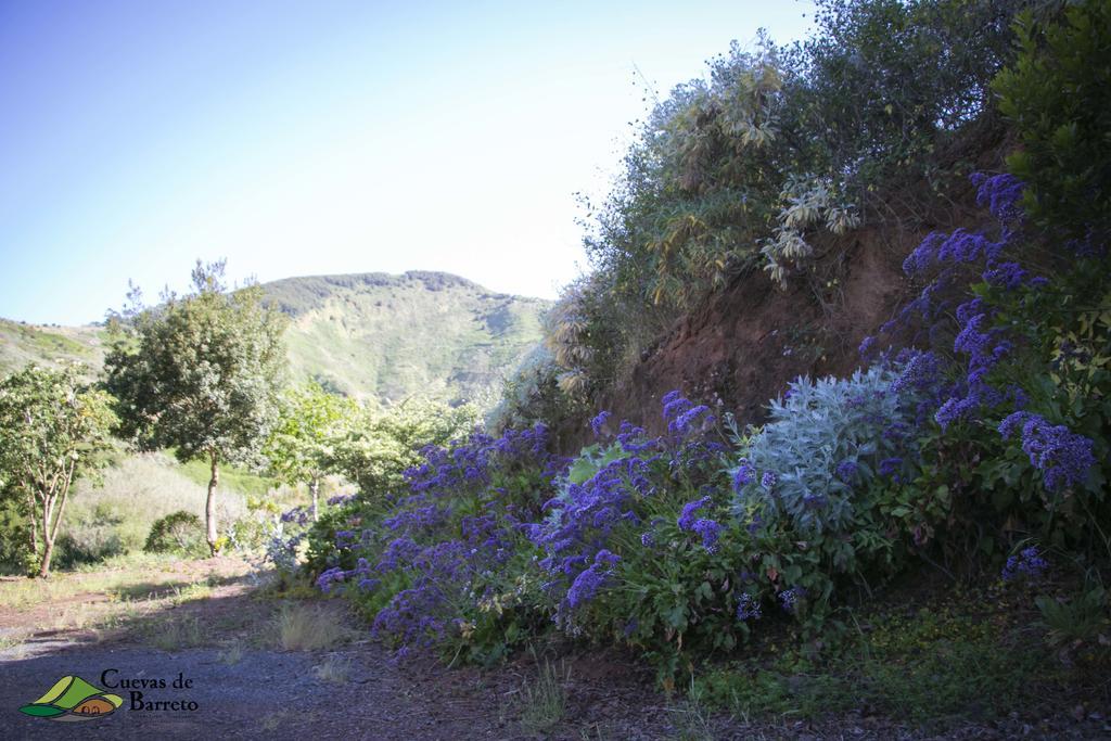 Cuevas De Barreto * Firgas