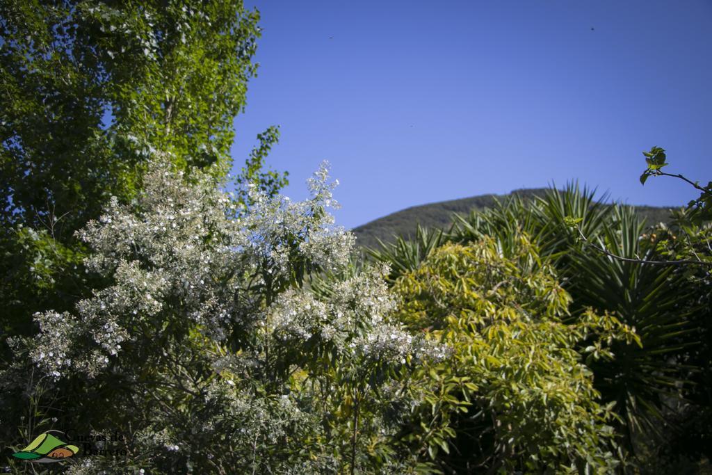 Cuevas De Barreto Firgas
