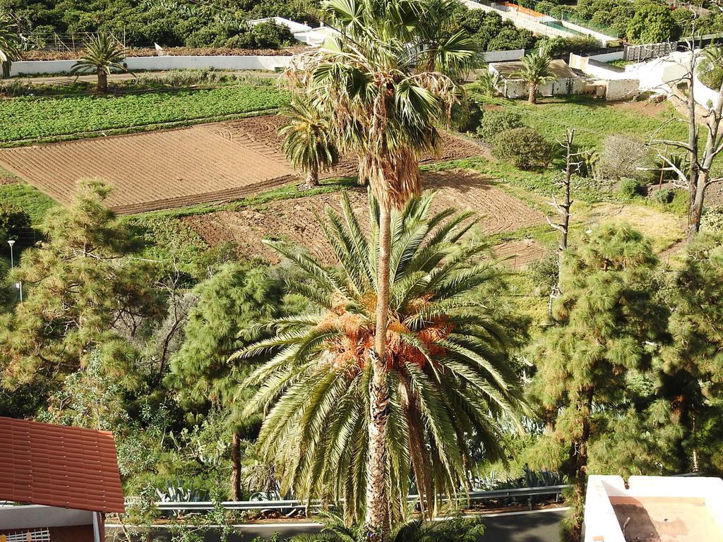 Сasa de vacaciones Veroles Agaete (Gran Canaria)