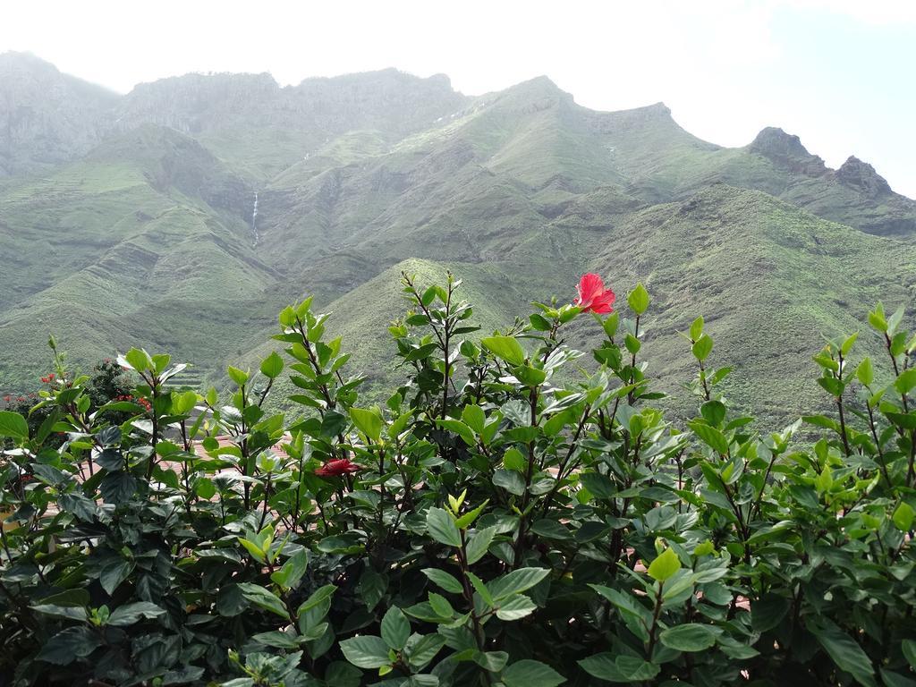 Los Veroles Agaete (Gran Canaria)