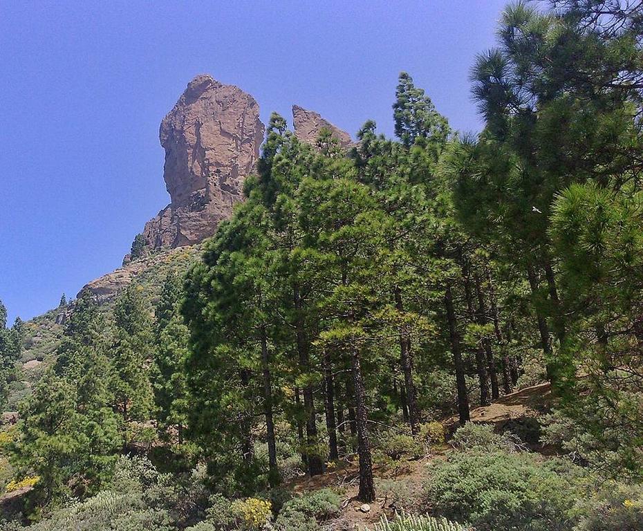 Playa Agaete * Agaete (Gran Canaria)