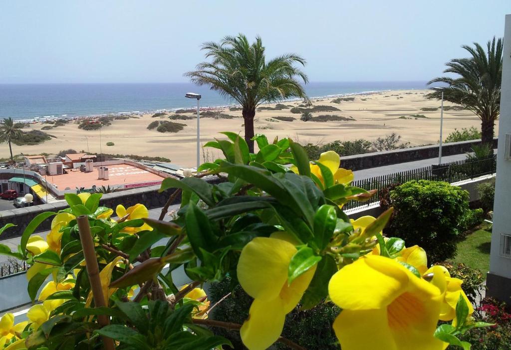 Apartment Alsol Don Palomon Playa del Ingles (Gran Canaria)