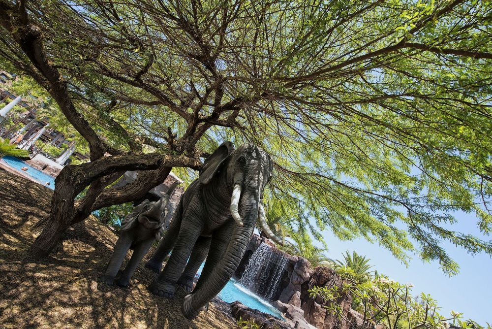 Lopesan Baobab Meloneras