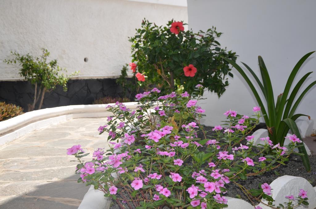 Alsol Orquideas Apartment Playa del Ingles (Gran Canaria)
