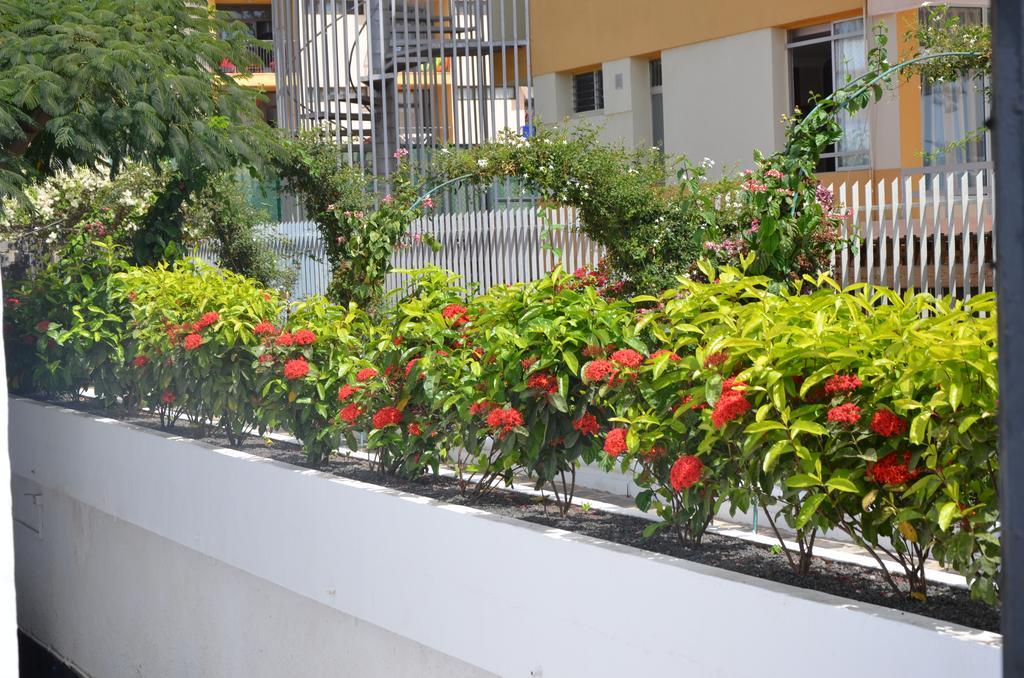Apartment Alsol Orquideas *