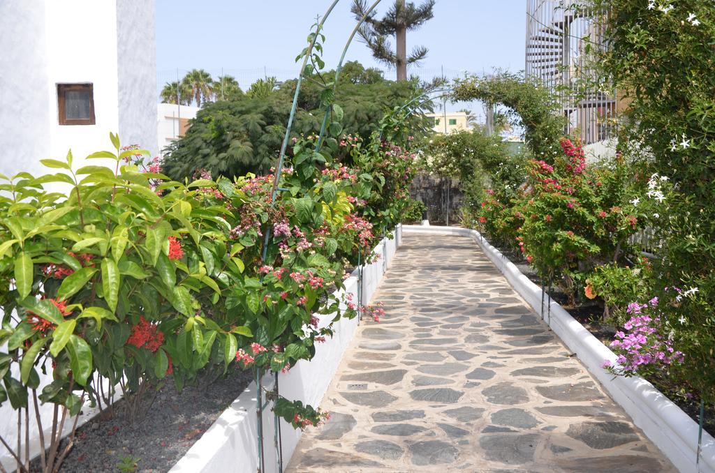 Alsol Orquideas * Playa del Ingles (Gran Canaria)