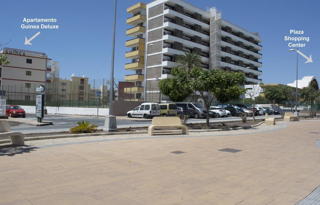 Guinea Flat - Apartment
