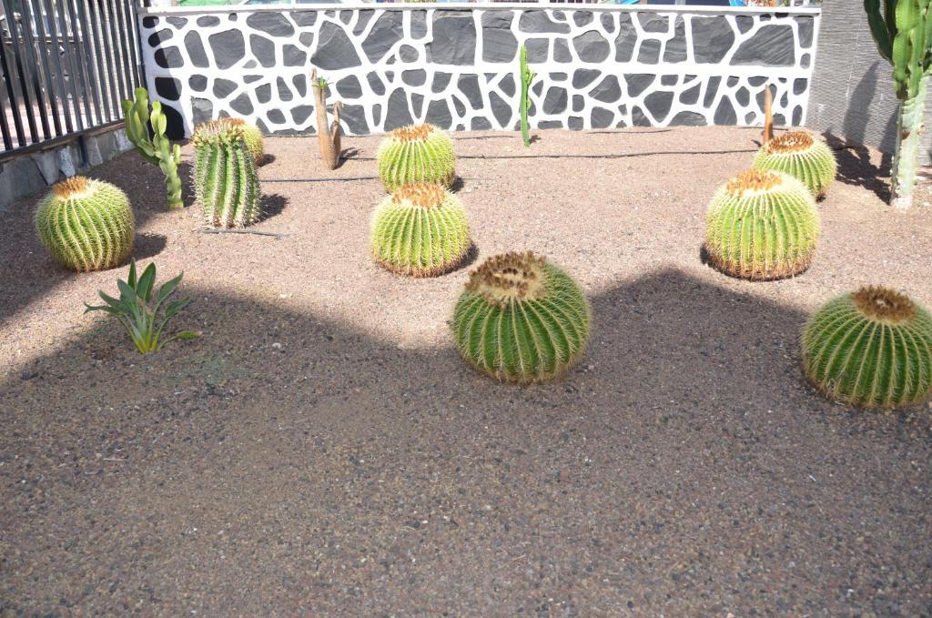 Appartement Cactus Playa del Inglés