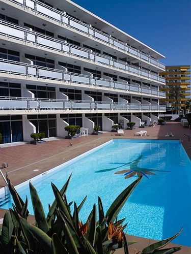 Apartamento Strelitzias