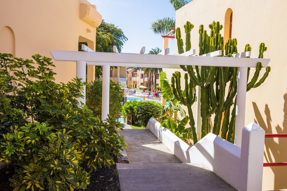 Hotel Livvo Koala Garden Maspalomas (Gran Canaria)