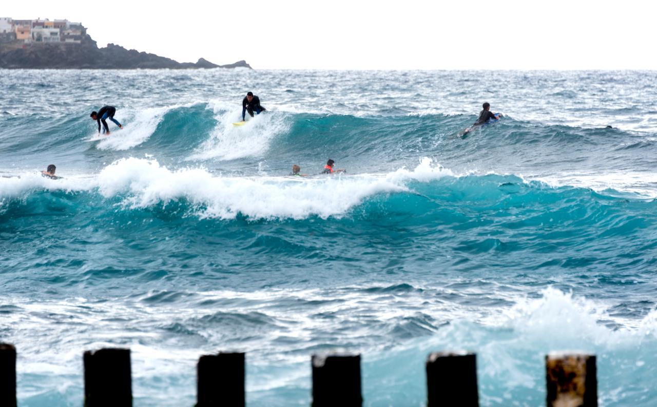 Apartment Fronton Whale