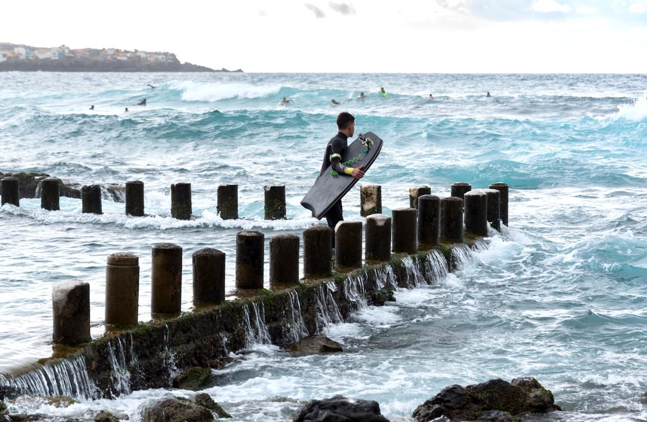 Fronton Whale