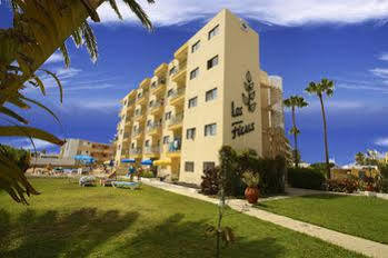 Ficus Playa Del Inlges