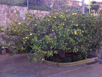 Rk El Cabo Holiday home Santa Brigida (Gran Canaria)