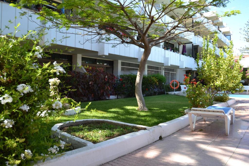 Apartment Don Quijote