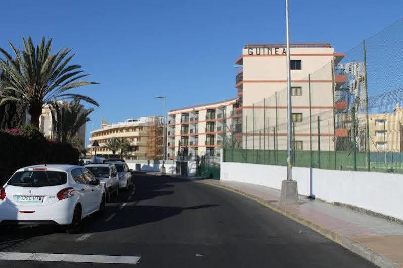 Guinea Flat - Apartment Playa del Ingles (Gran Canaria)