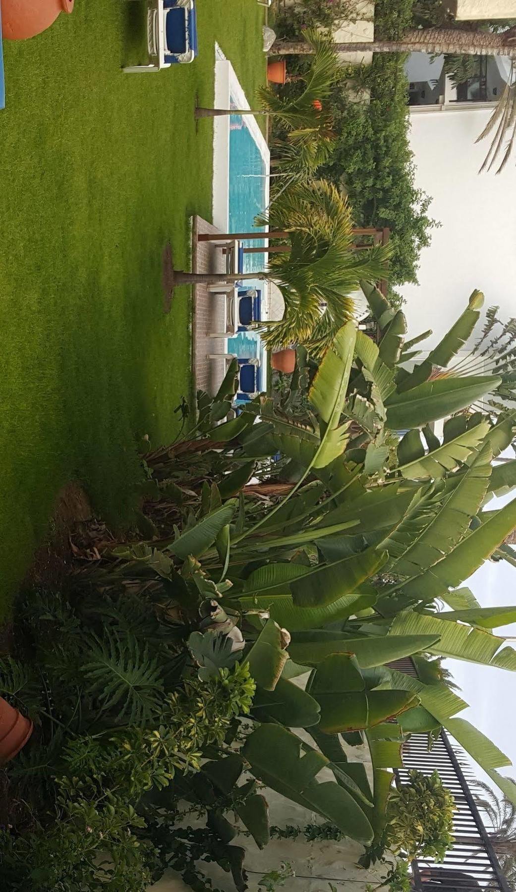 Alsol Nogal (adults Only) * Playa del Inglés