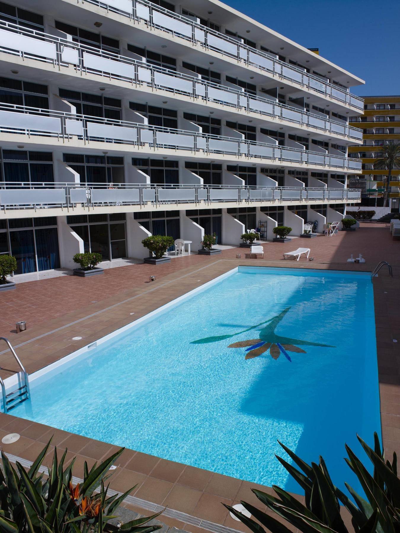 Apartamento Strelitzias *