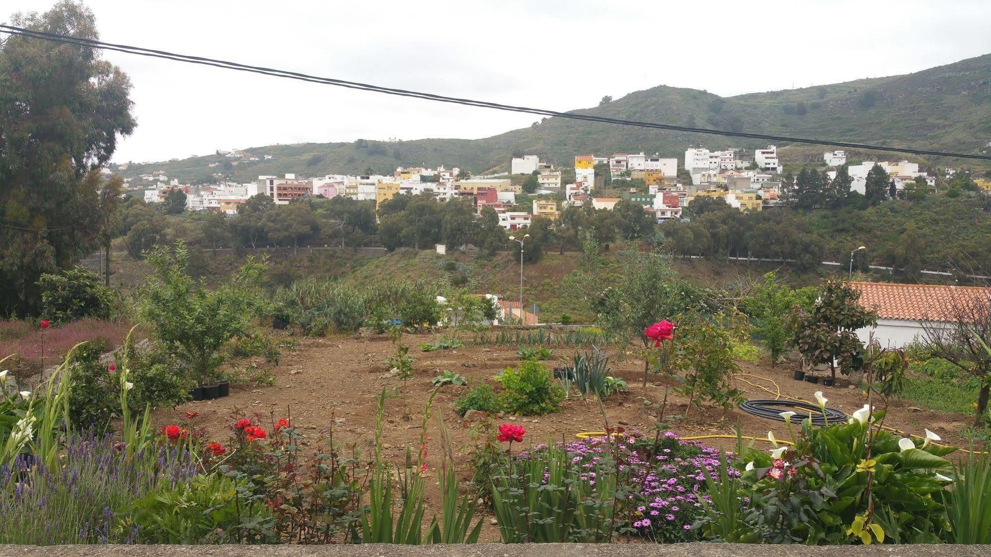 Del Pino Hostel