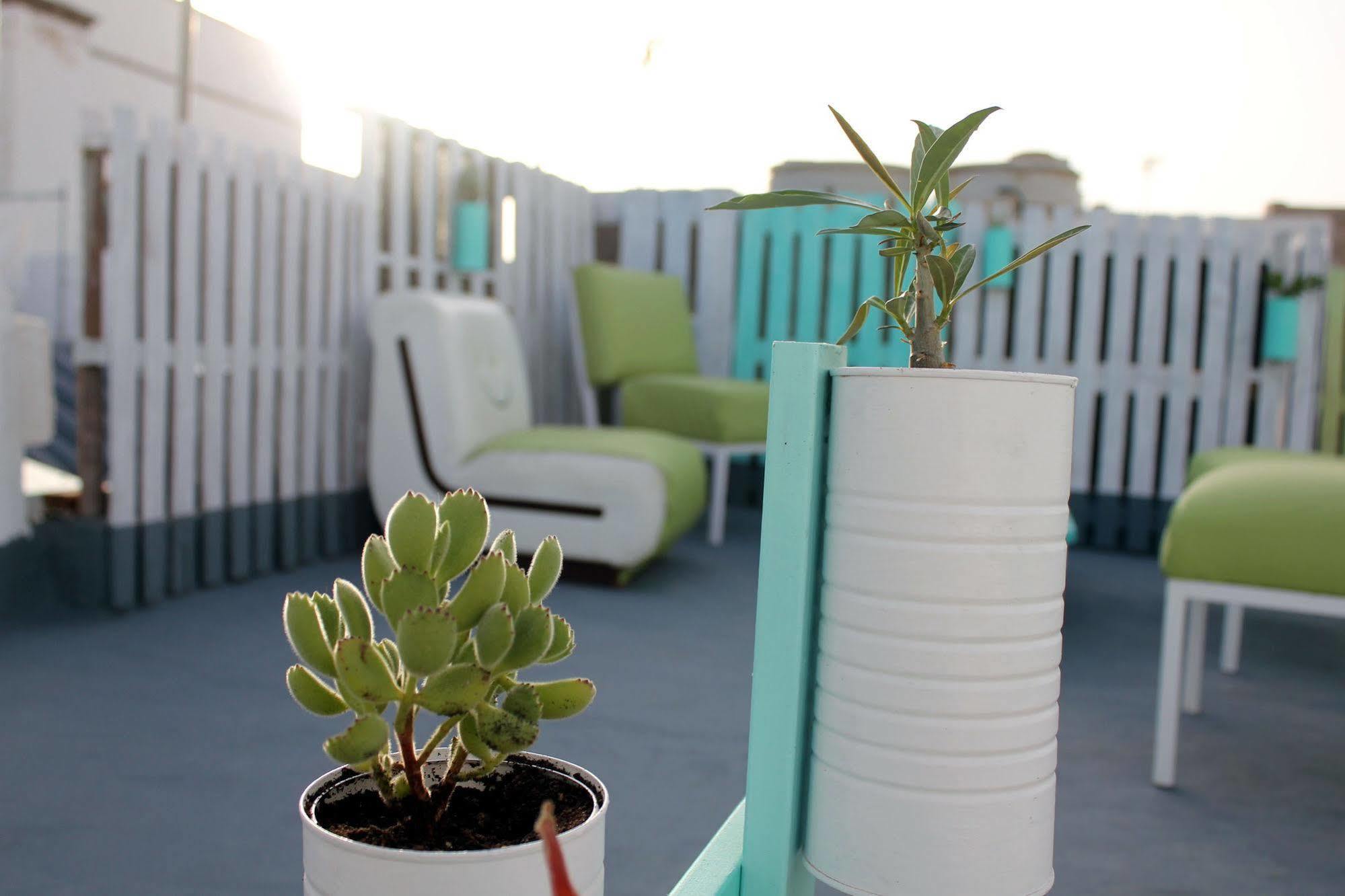 La Papaya - Eco - Yoga - Hiking - Hostal Agaete (Gran Canaria)