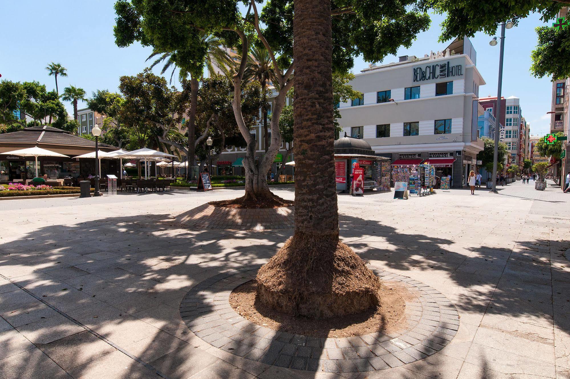 Kasa Las Palmas de Gran Canaria