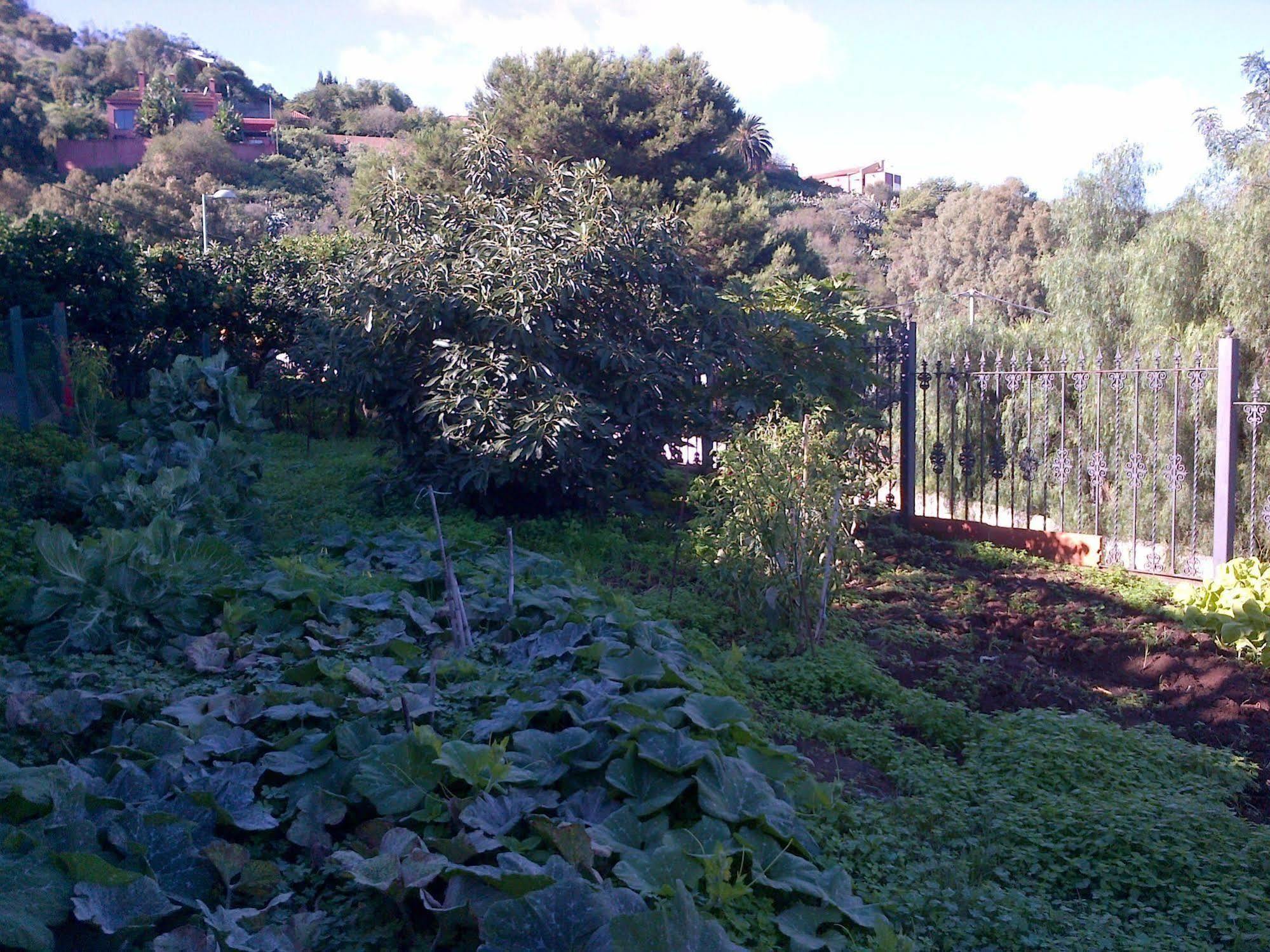 Rk El Cabo Holiday home Santa Brigida (Gran Canaria)