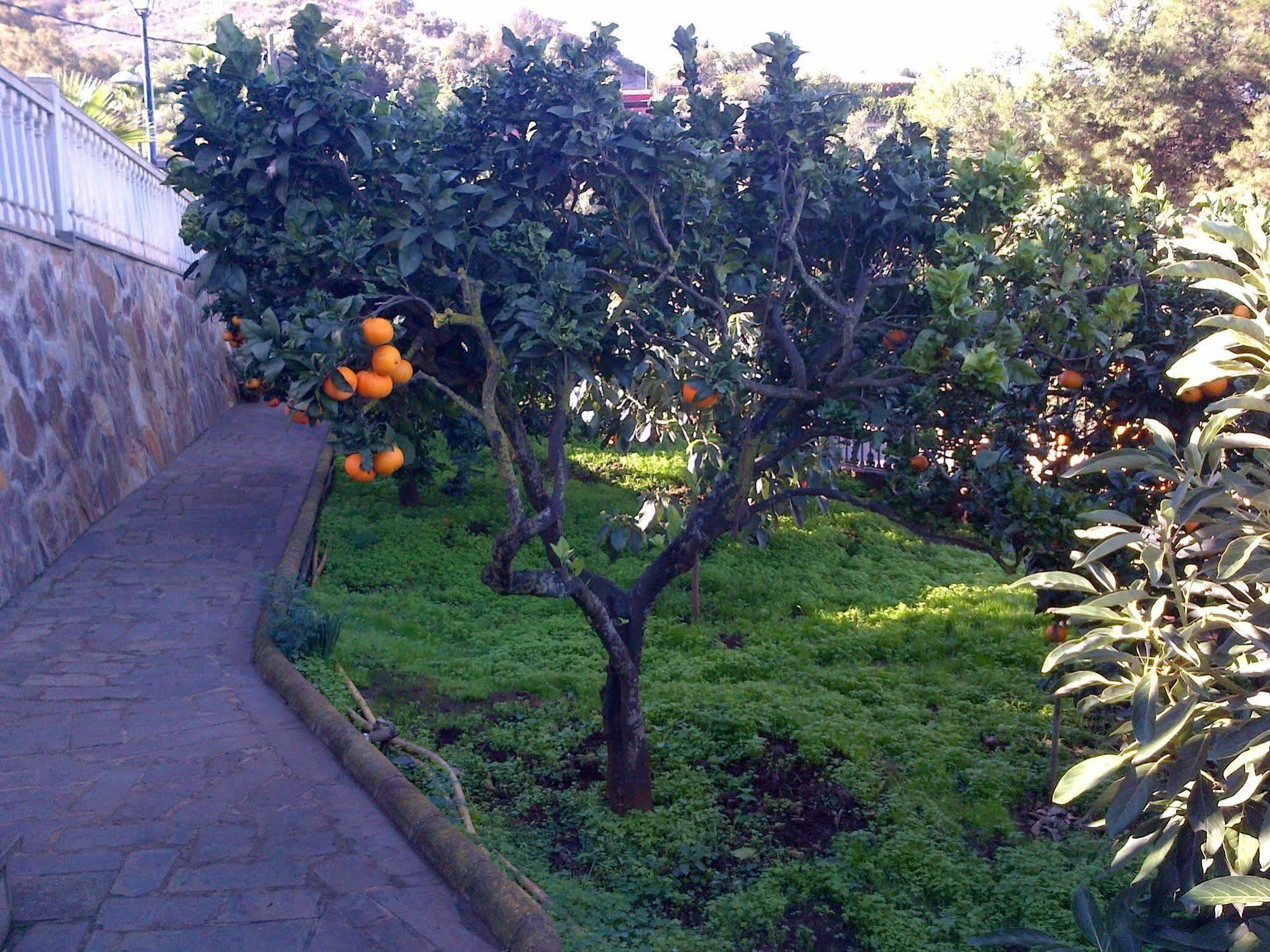 Rk El Cabo * Santa Brigida (Gran Canaria)