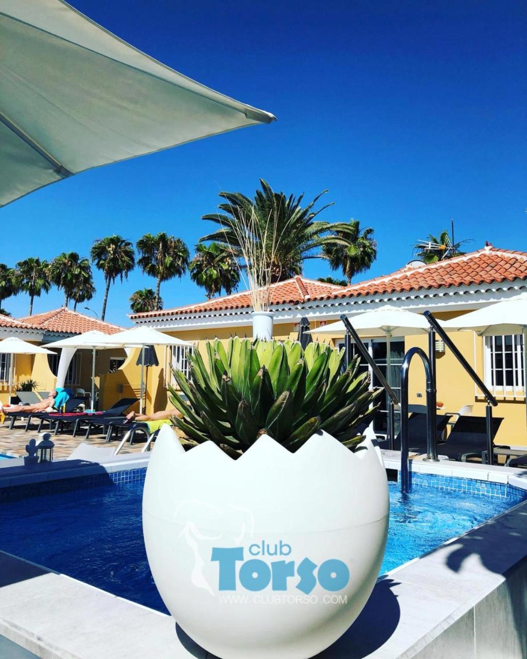 Club Torso Gay Men Only Maspalomas (Gran Canaria)