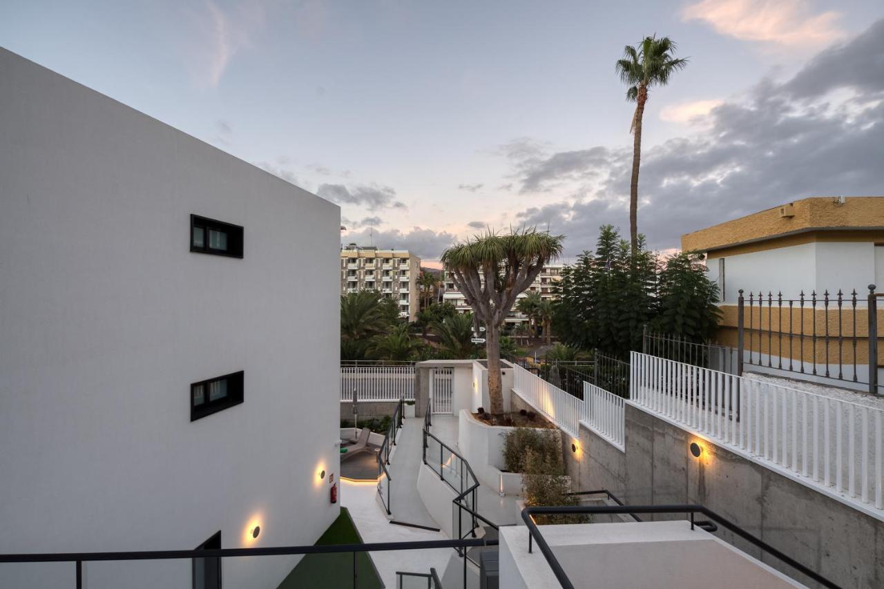 Apartment B Slow Condor