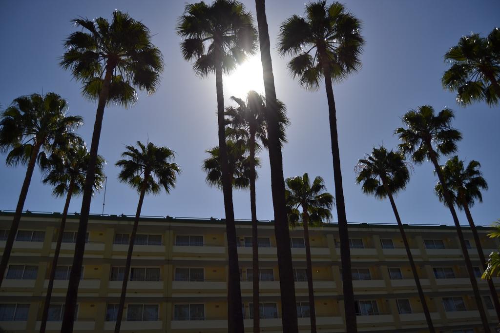 Apartment Playa Del Sol - Adults Only *