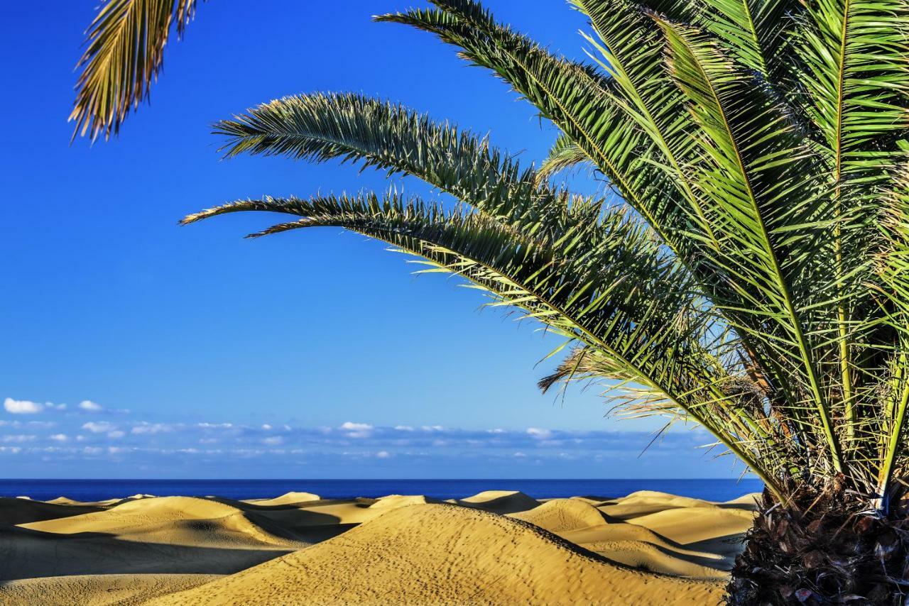 Adelfas South 1 By Canariasgetaway Ferienhaus San Agustín