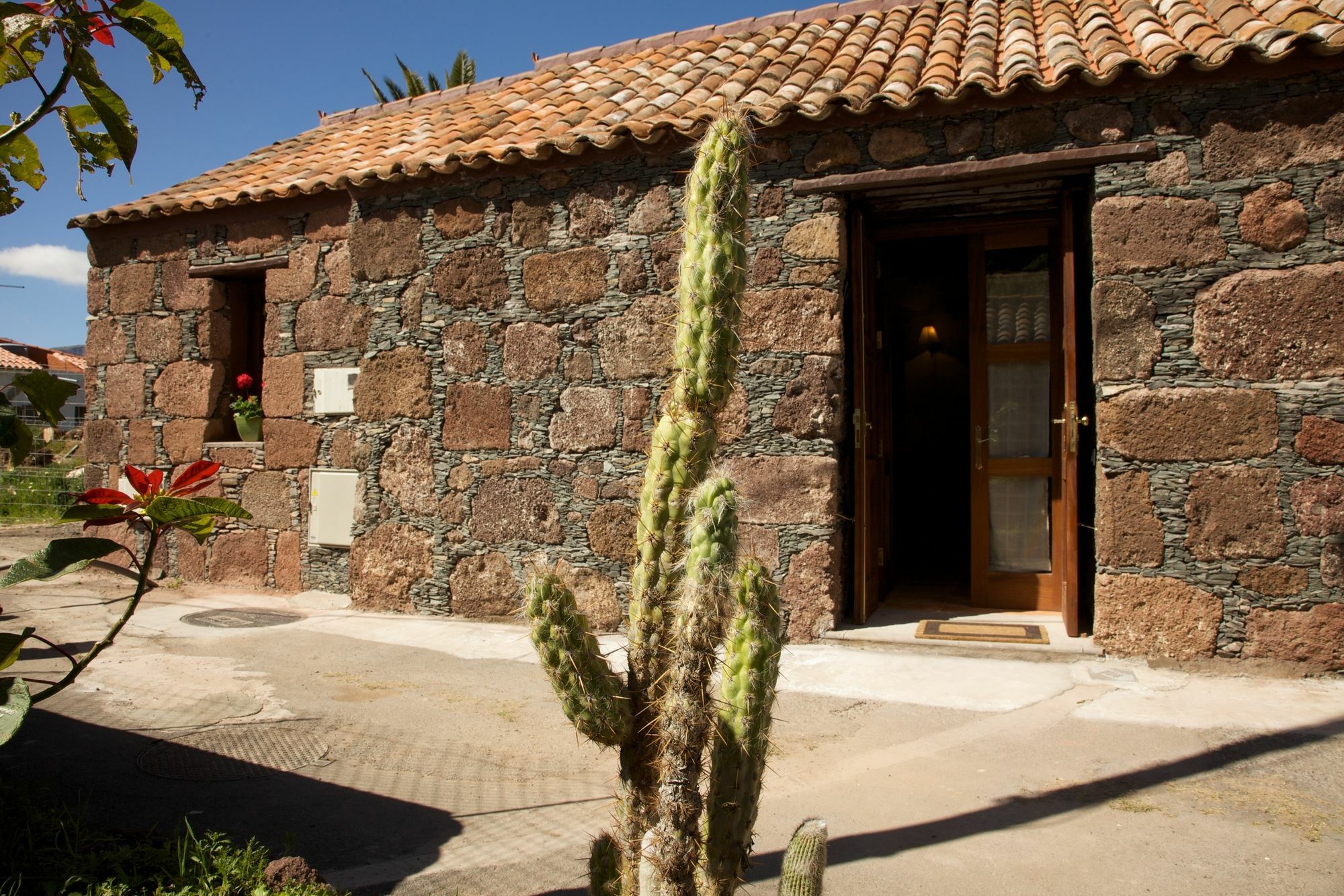 La Fuente De La Flora *