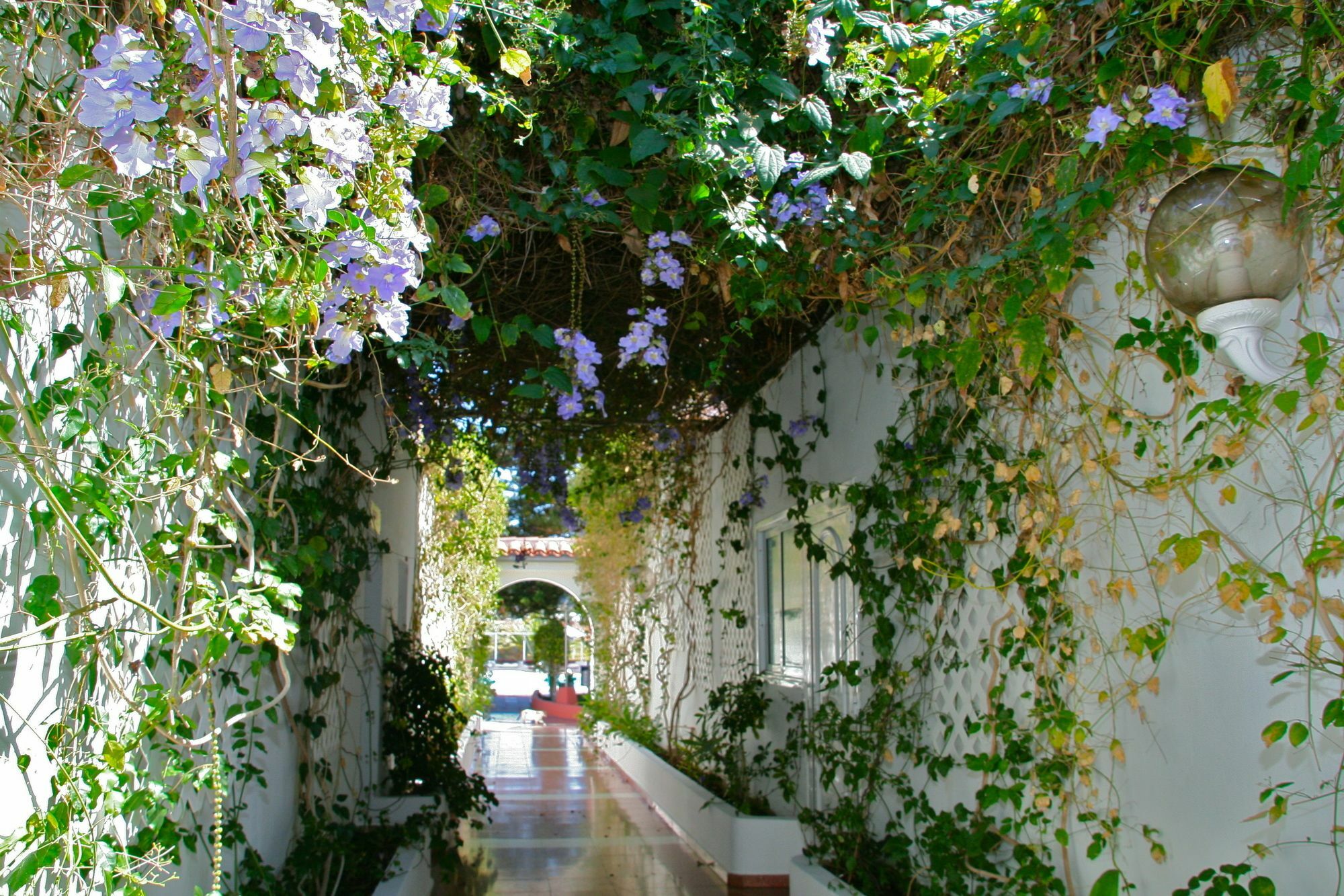Parque Del Paraiso Ii