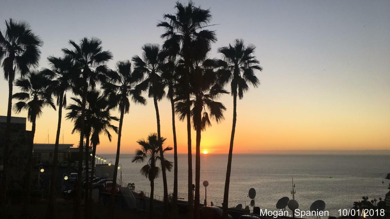 Private With Stunning Ocean Views And Sunset. Apartment