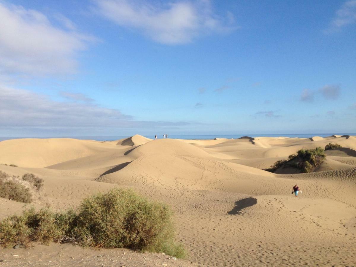 With A View - Playa Del Ingles, Taidia