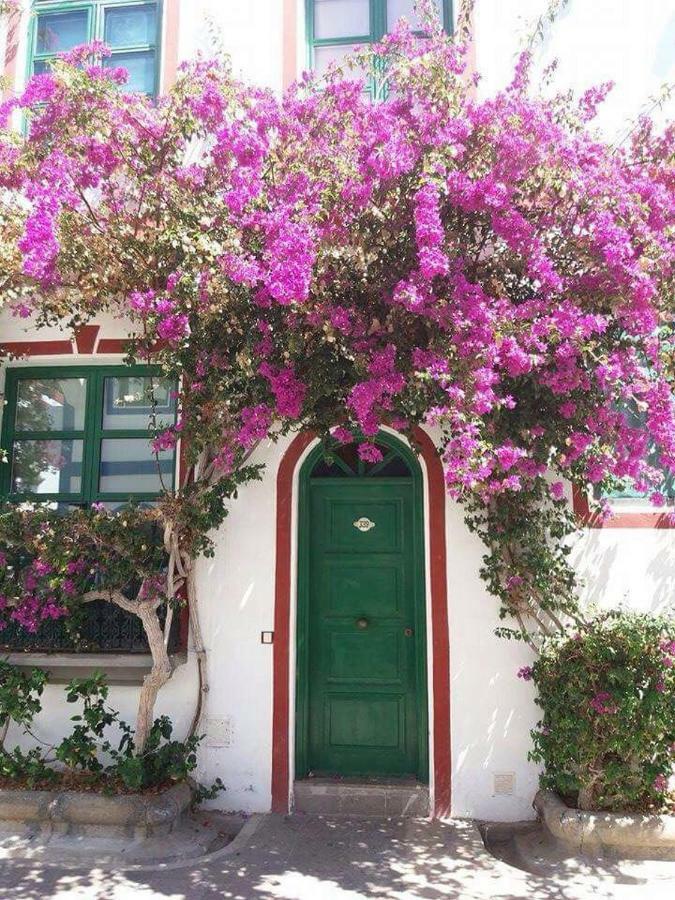 Estrella Del Mar Amazing Loft Casa Cosy Apartamento *