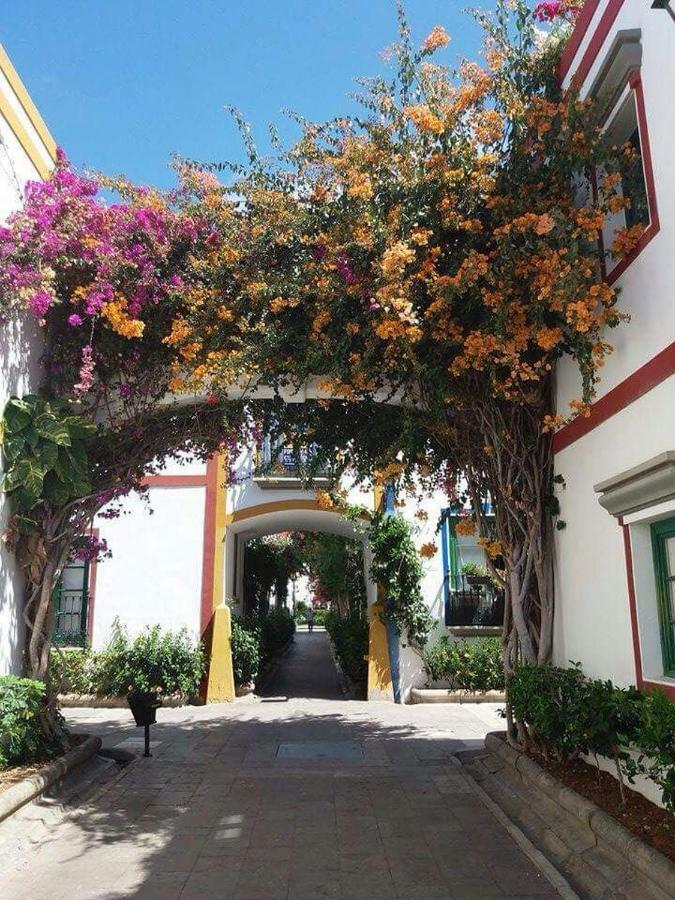 Estrella Del Mar Amazing Loft Casa Cosy *