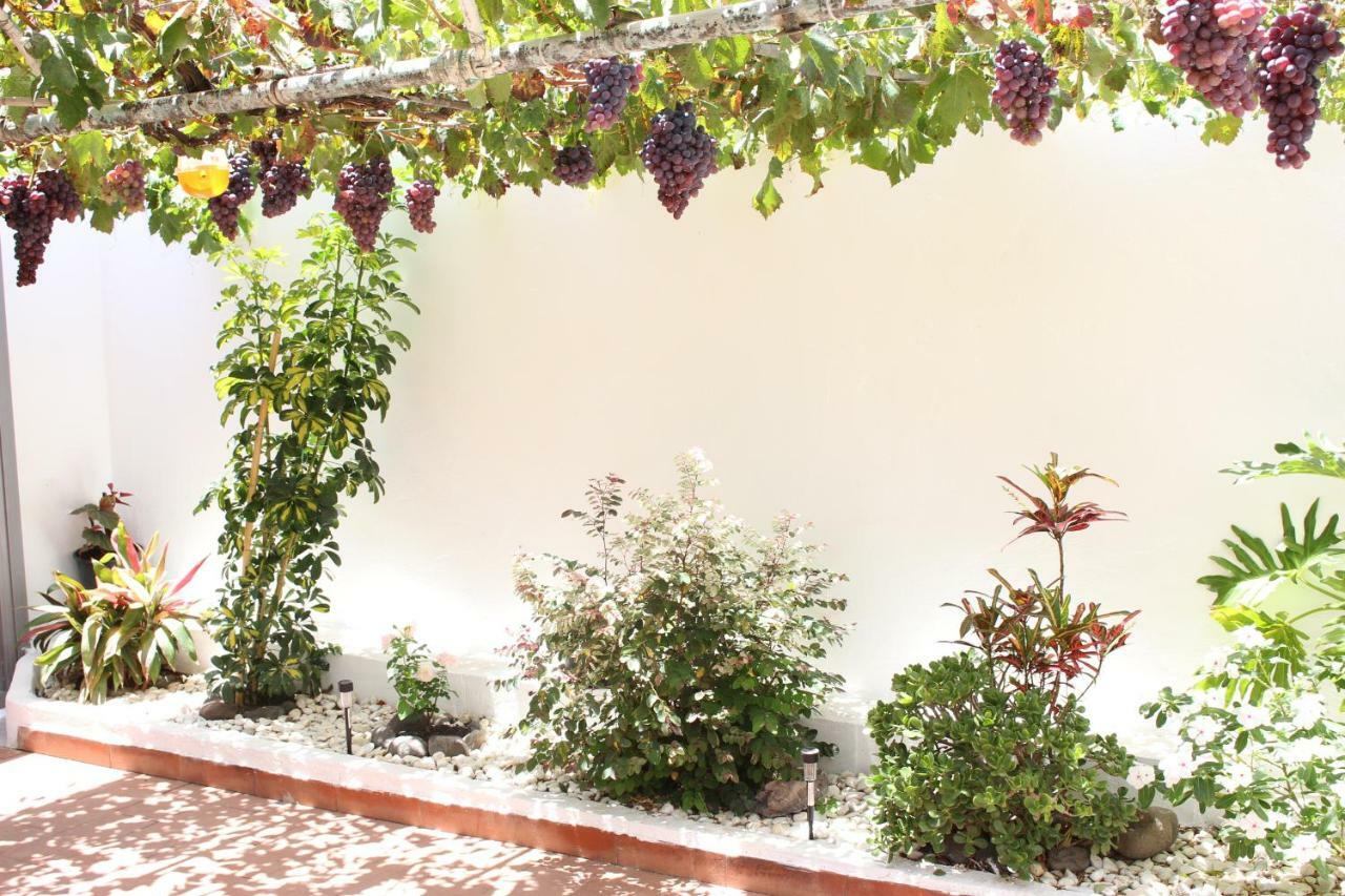 Casa Carmela * Agaete (Gran Canaria)