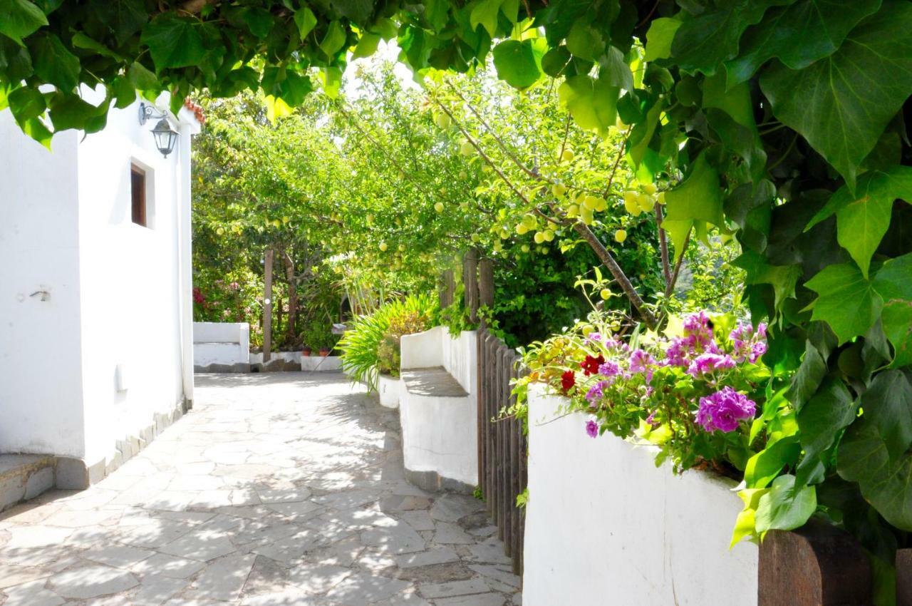 Bella Doramas Panchita & Millo Holiday home Moya (Gran Canaria)