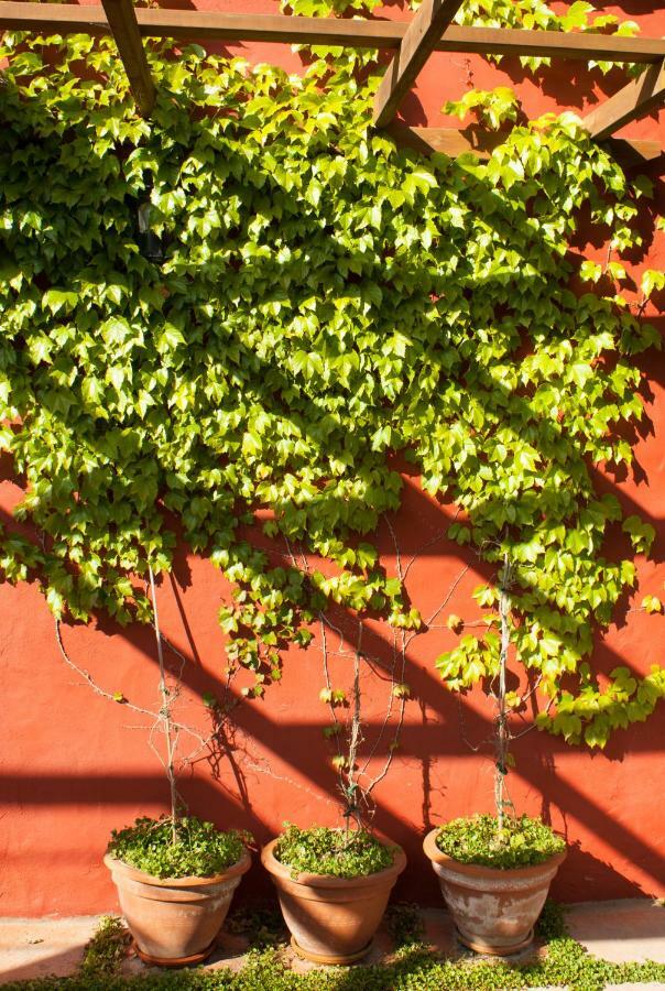 Casa rural Casa Completa Con Piscina Privada El Roble *