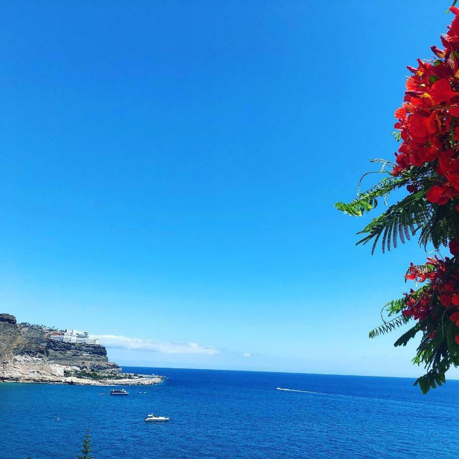 Su Eminencia - Luxury Playa Del Cura (Gran Canaria)