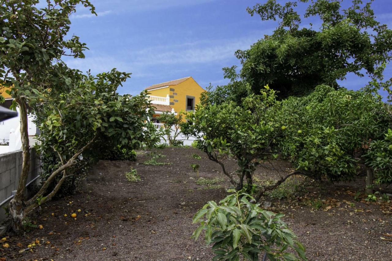 Casa Marjoes - Terrace, Bbq&parking * Moya (Gran Canaria)