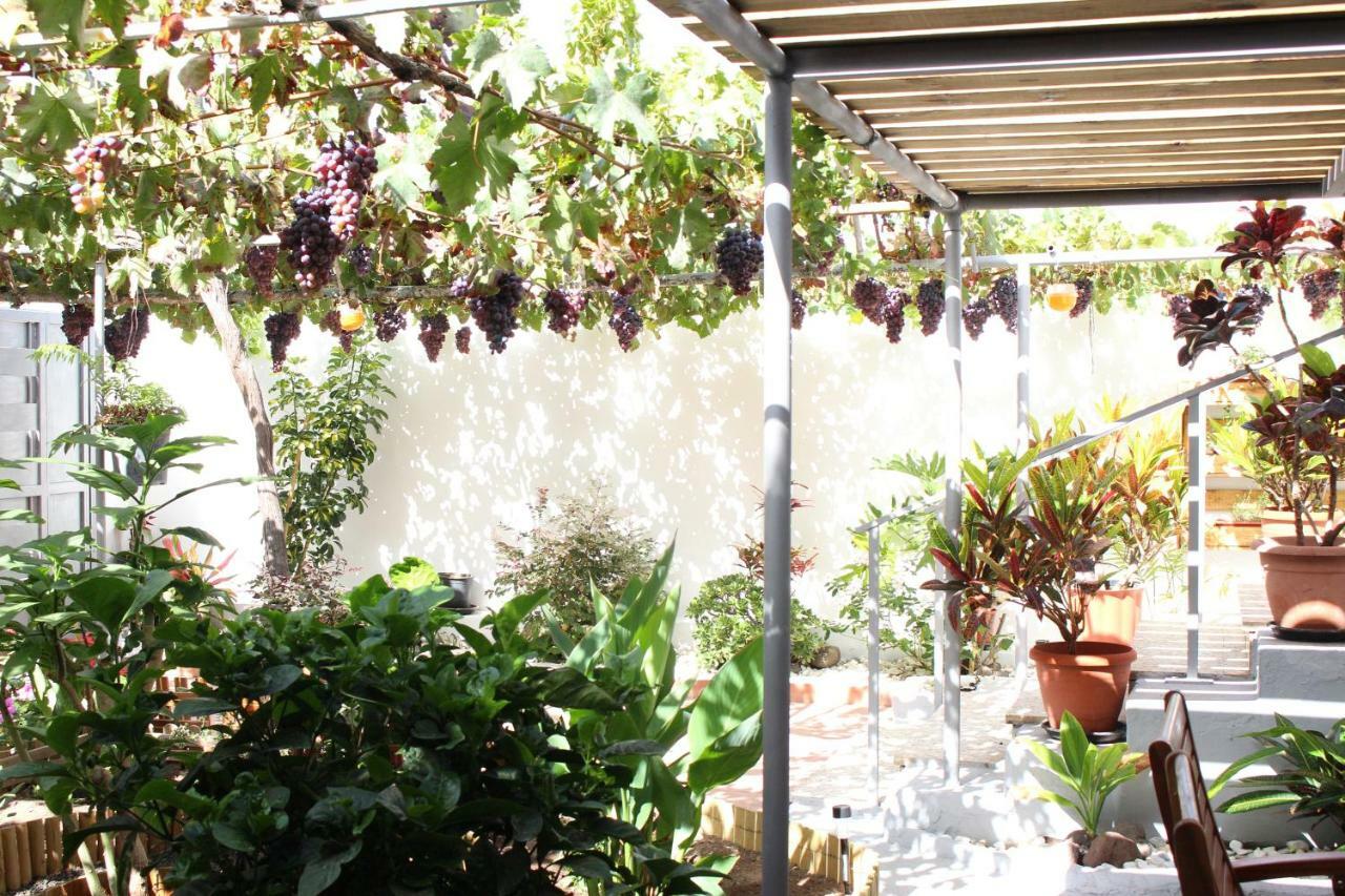Сasa de vacaciones Casa Carmela Agaete (Gran Canaria)