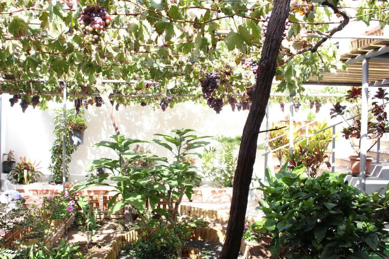 Casa Carmela * Agaete (Gran Canaria)