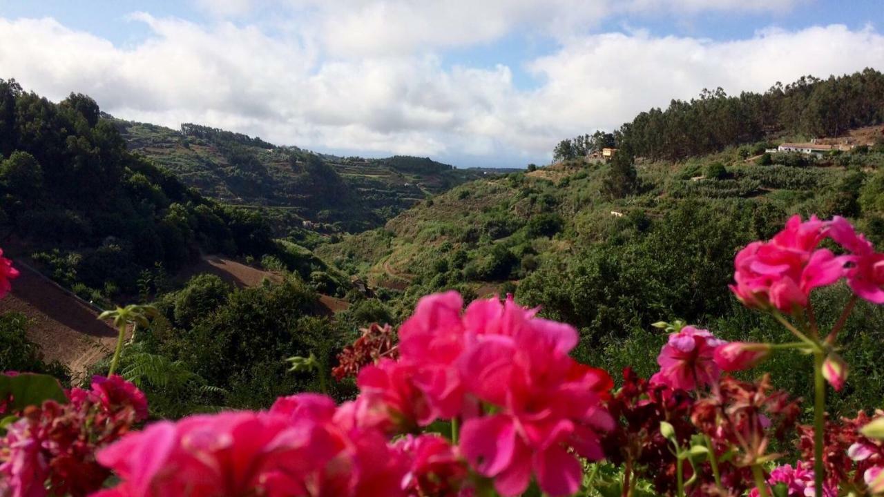 Bella Doramas Panchita & Millo Ferienhaus Moya (Gran Canaria)