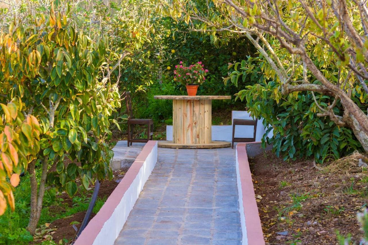 Casa Cueva Aday Holiday home Santa Maria de Guia de Gran Canaria
